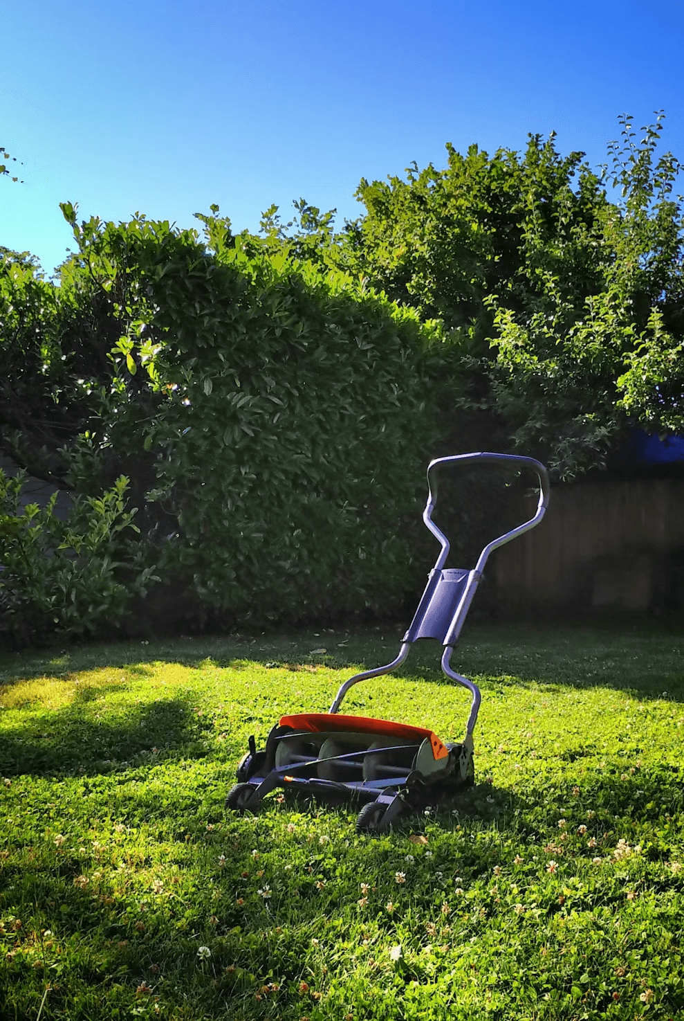 Lawn care business